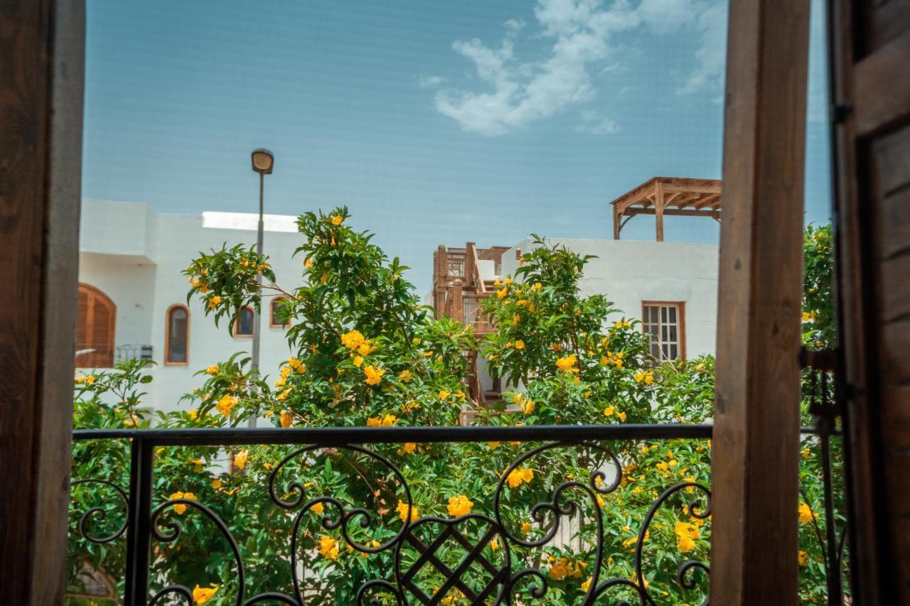 Rafiki Hostels - Dahab Exterior foto